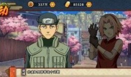 忍者小樱爆料视频大全,揭秘视频大全背后的精彩瞬间